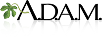 https://sqlhelp.digitalfocussites.com/wp-content/uploads/2024/04/adam-logo-trans.png
